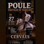Poule de Equita&ccedil;&atilde;o de Trabalho